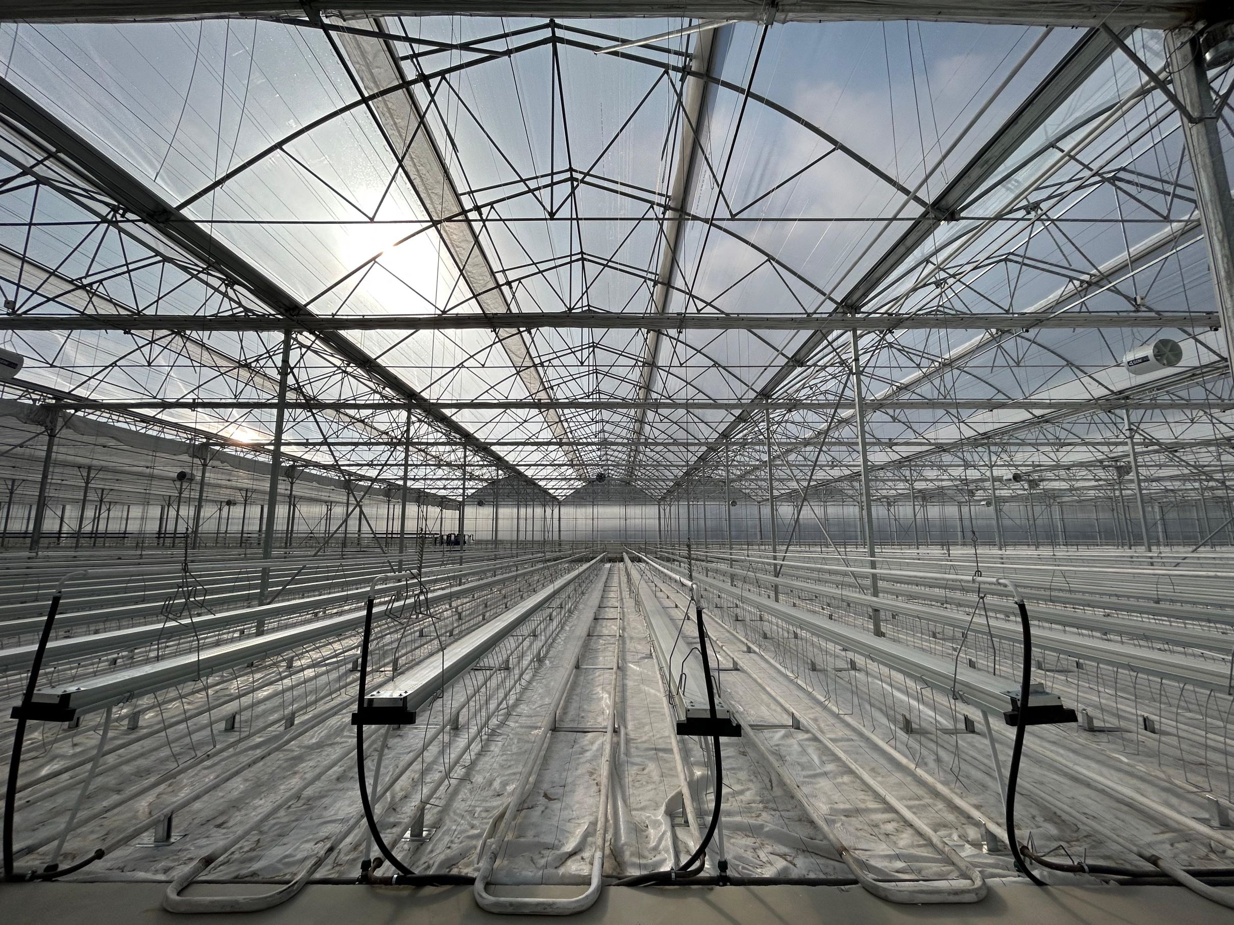 Agro Termal, 1 milyon metrekarelik hedefine hızla ilerliyor