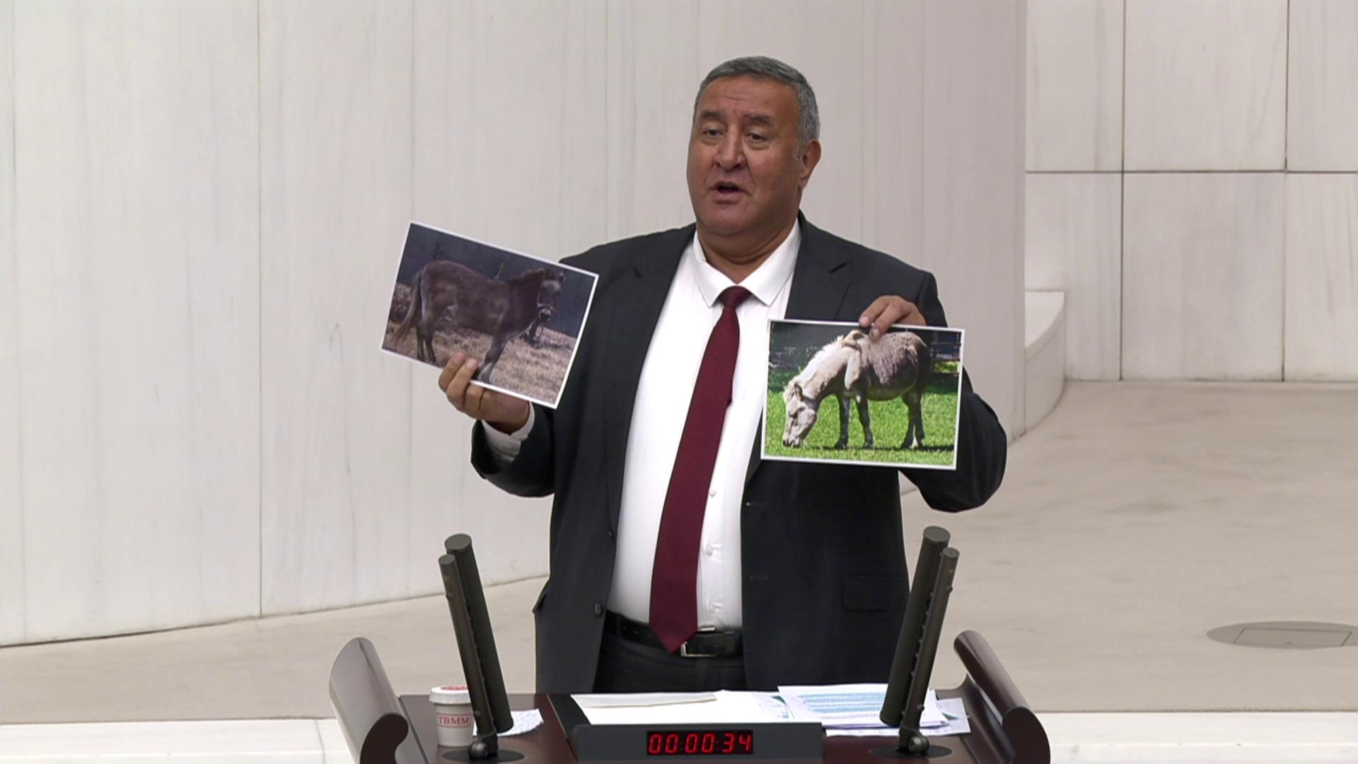 CHP'li Gürer: "Ülkede hayvancılık ithalata dayalı yapılıyor"