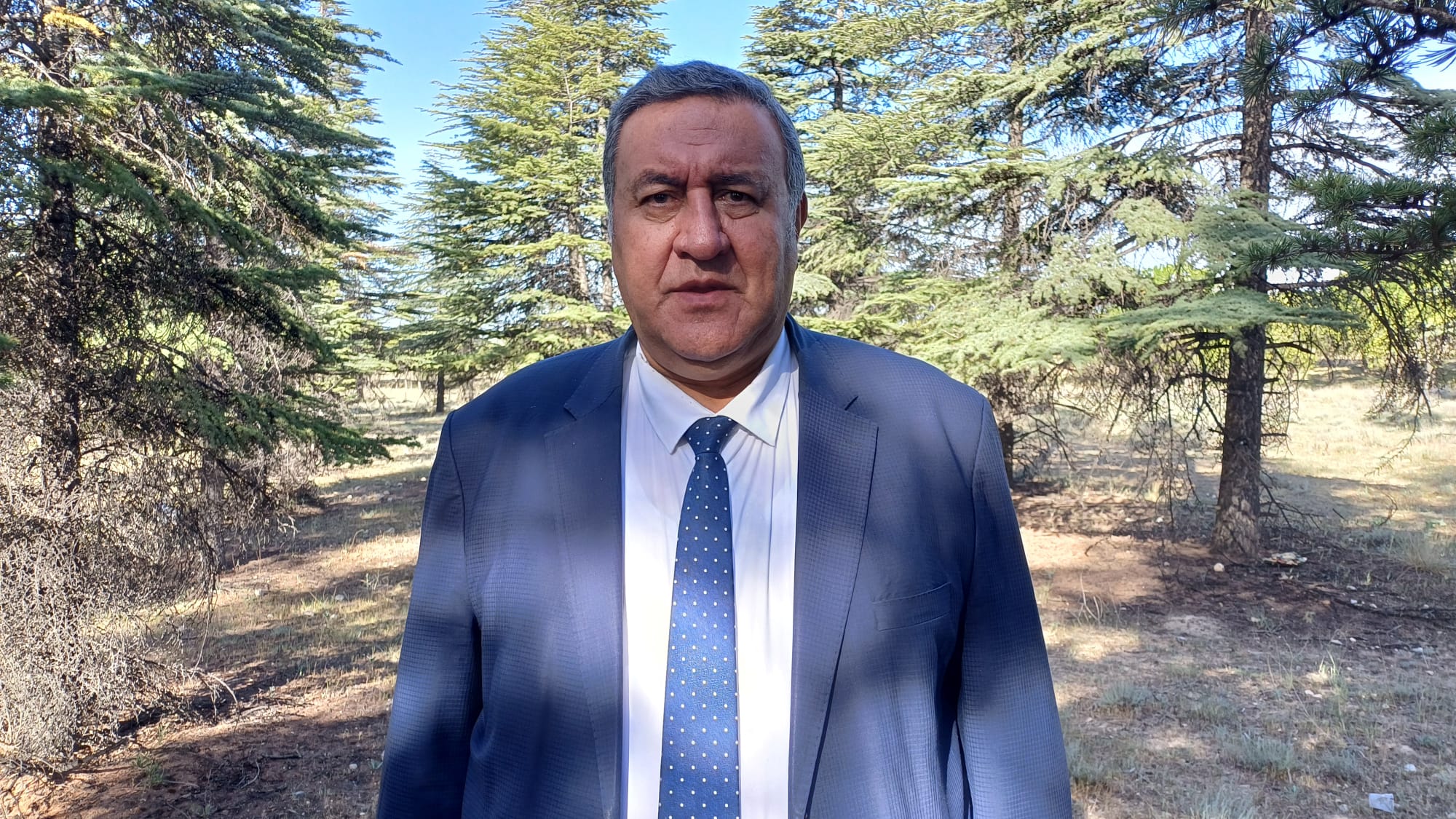 CHP'li Gürer: "Ormanlar talana uğruyor"