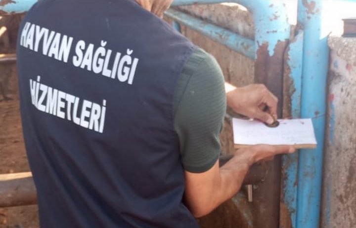 Tarım ve Orman Bakanı Yumaklı: "Hayvana eziyet görüntüleri kesinlikle kabul edilemez"