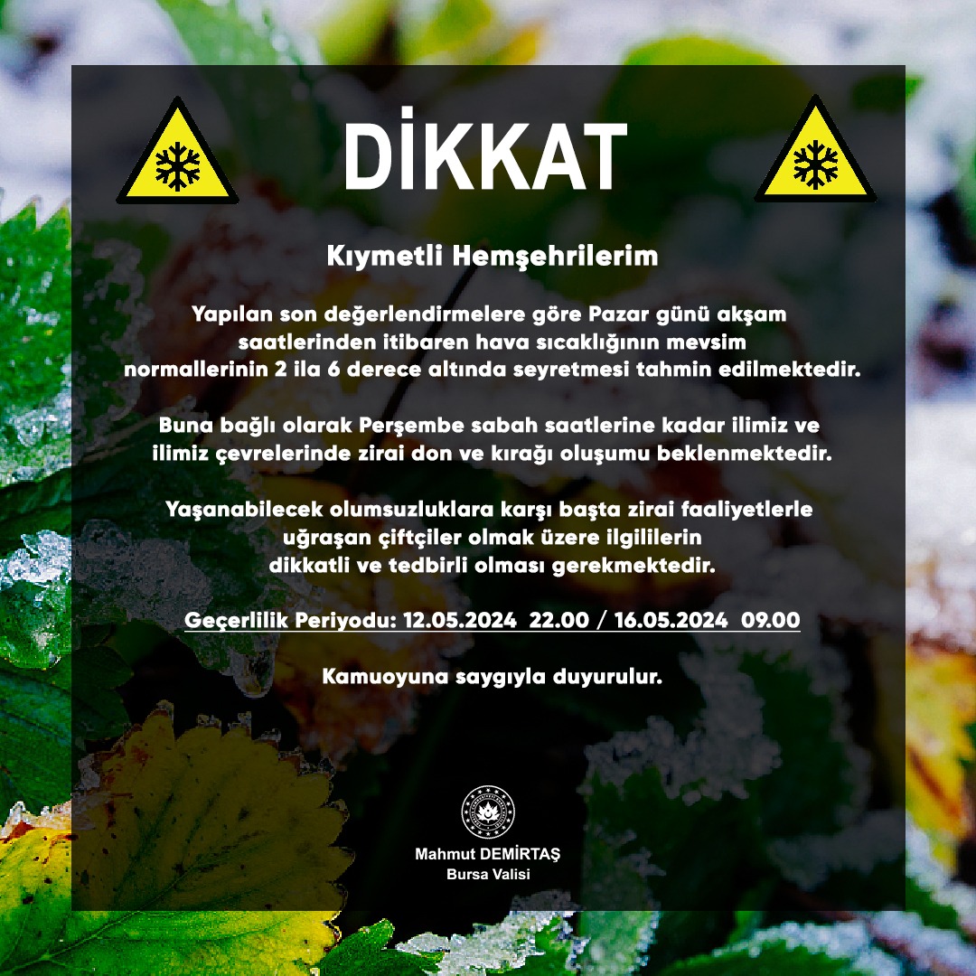 Bursa'da Zirai Don Uyarısı