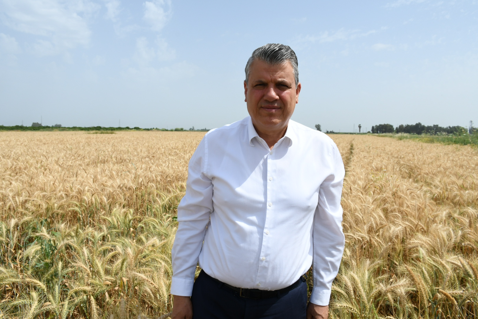 CHP'li Barut: "Buğdayda alım fiyatı en az 15 lira olmalı"
