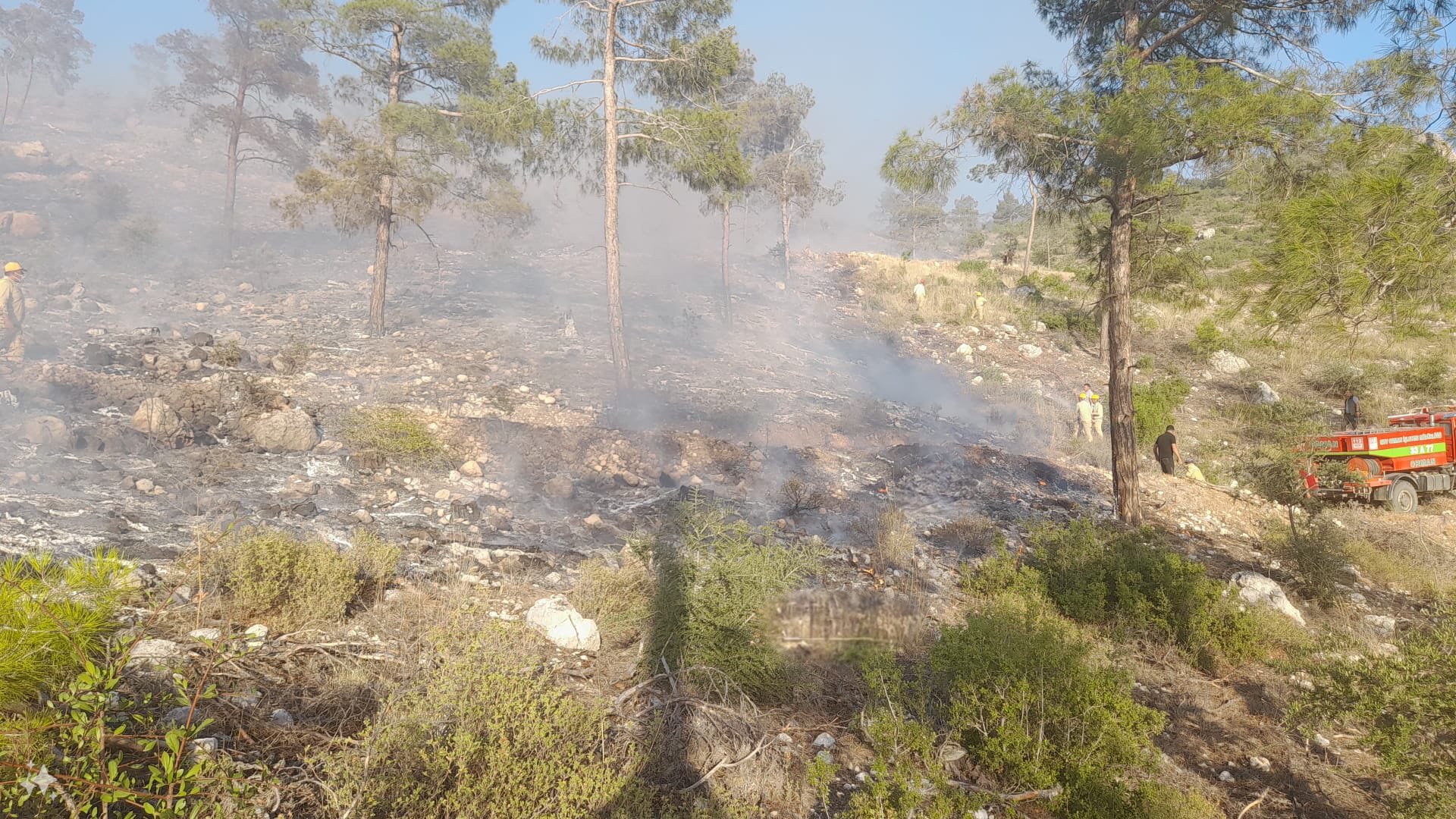 İzmir, Uşak, Balıkesir ve Manisa'da orman yangını