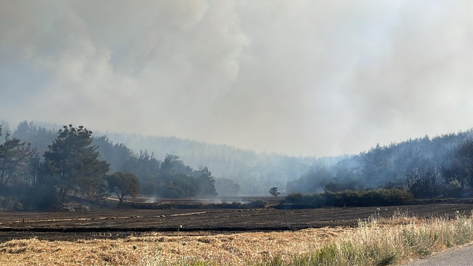 Çanakkale'deki yangın kontrol altına alındı