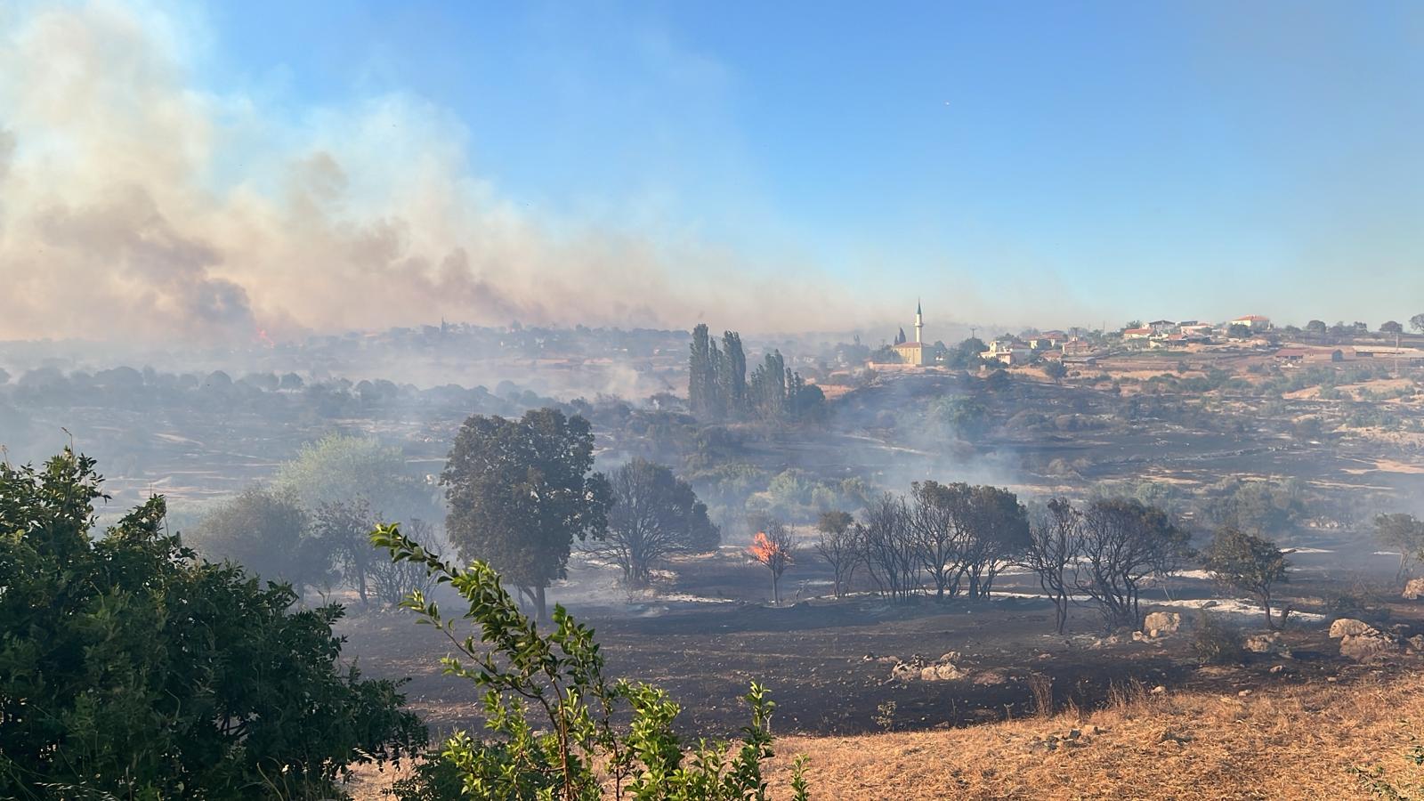 Şanlıurfa'da anız yakanlara 14 milyon liralık ceza