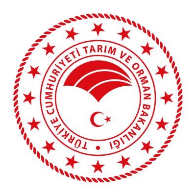 Seyhan'daki kasap kapatıldı