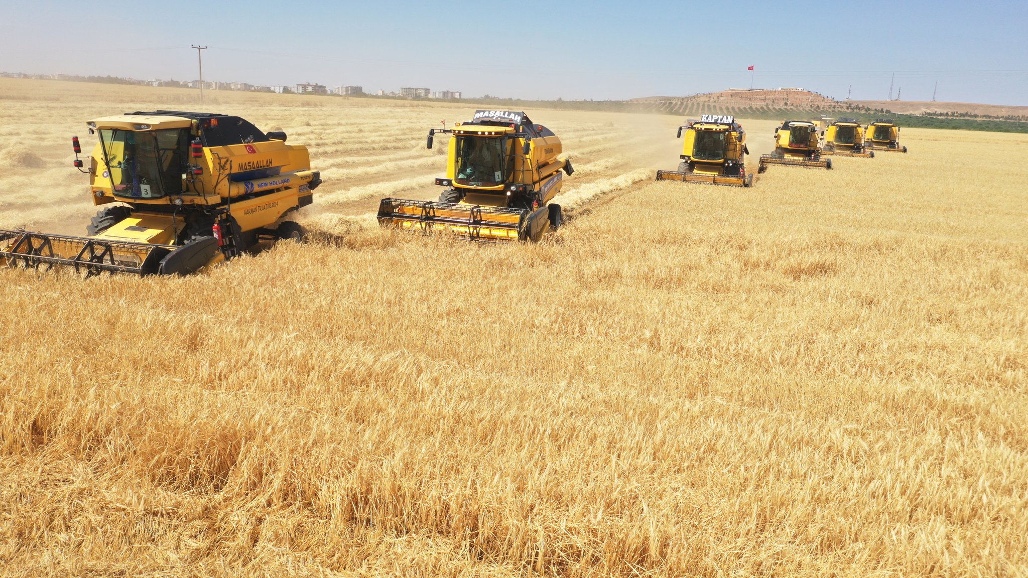 Şanlıurfa'da 2,2 milyon ton buğday üretimi bekleniyor