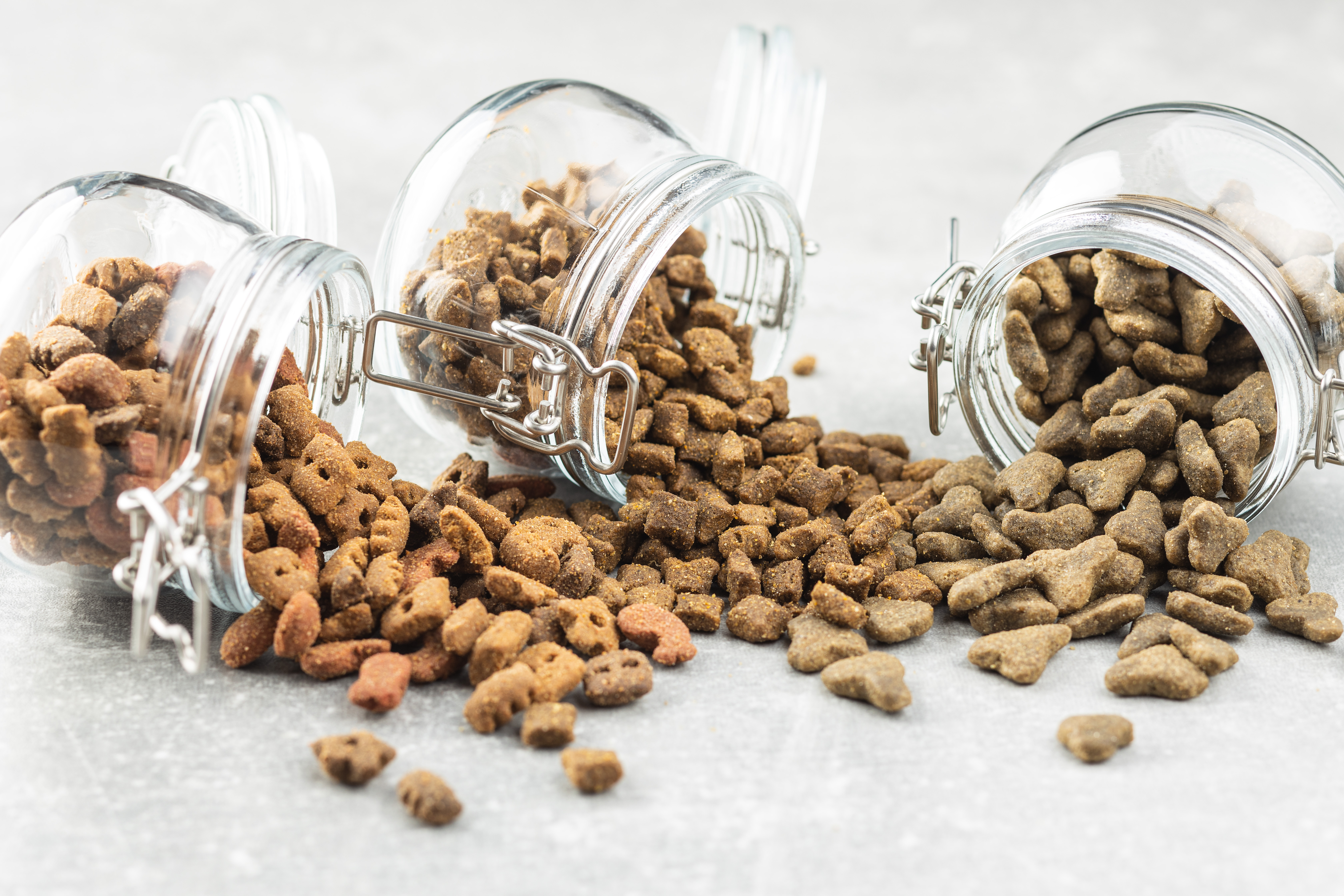 Köpek ve kedi maması ihracatı 73 milyon dolara yükseldi