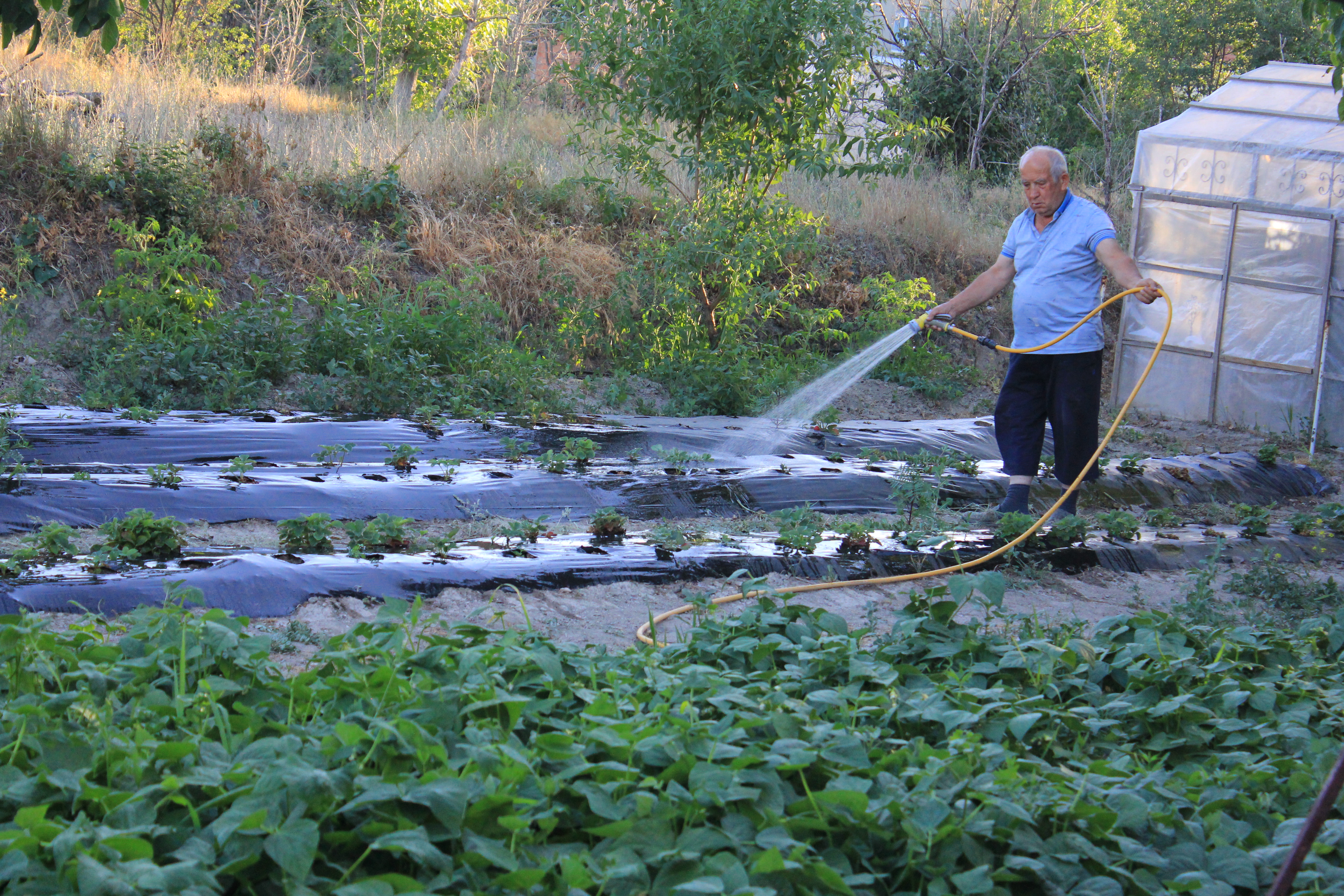Tarımsal üretimde yıllık enflasyon yüzde 54,58 oldu