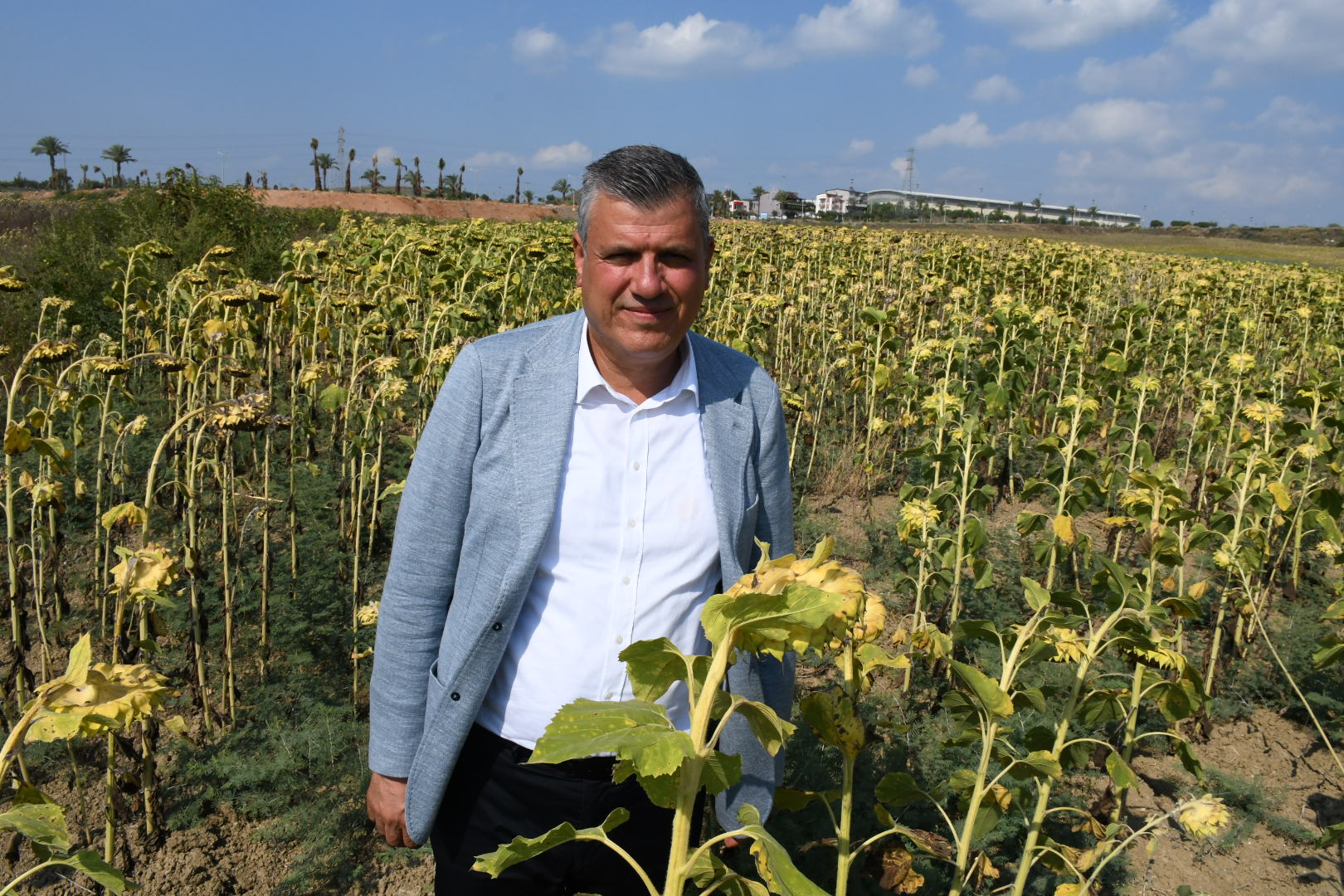 CHP'li Barut: "Çukurova afet bölgesi ilan edilsin"
