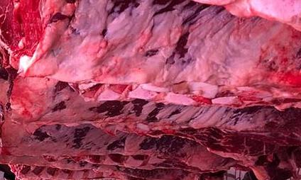 Adana'da 1,5 ton tek tırnaklı hayvan eti yakalandı