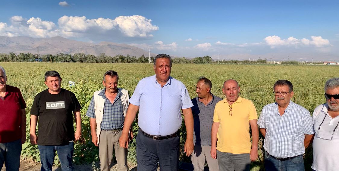 Niğdeli domates üreticileri de dertli