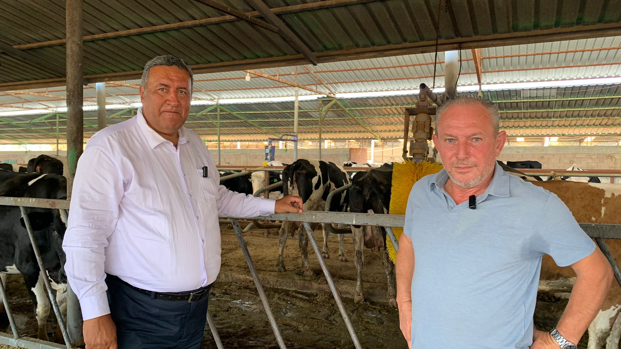 Hayvancılıkla uğraşan Genişyürek: "1 litre süt 1,5 kilo yem alabilmeli"