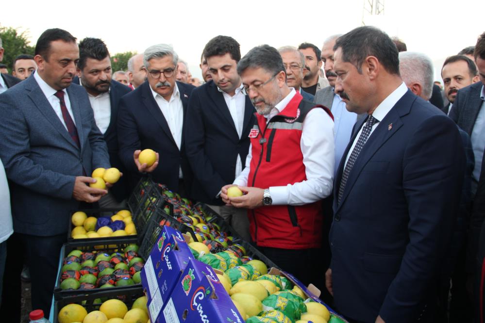 Bakan Yumaklı, Hatay'da narenciye hasadına katıldı