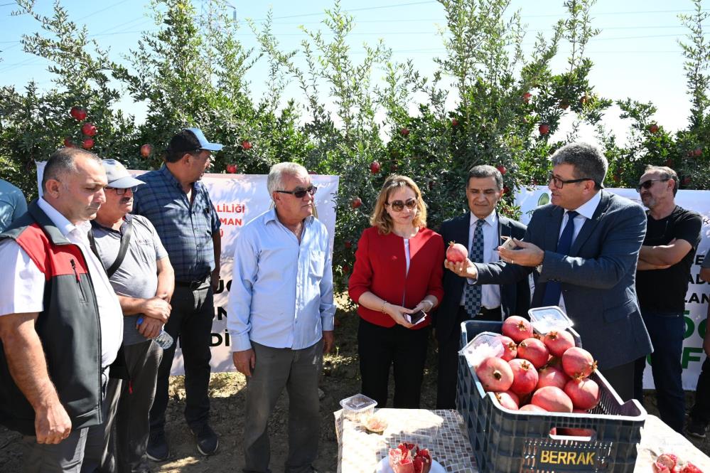 Biyolojik mücadele ile ilaç kalıntısız nar üretilmesi hedefleniyor