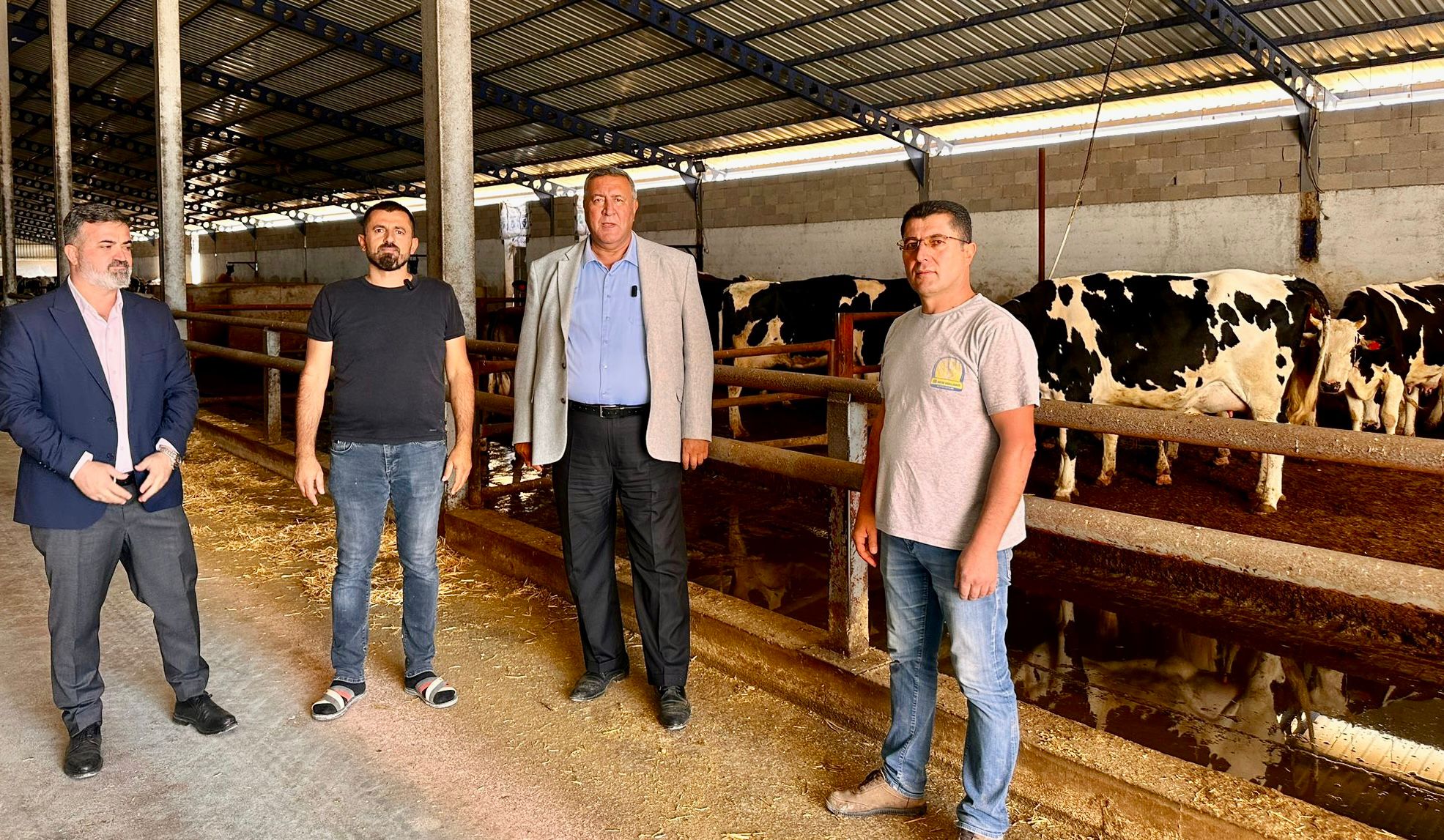 CHP'li Gürer hayvan sayısındaki düşüşe dikkati çekti