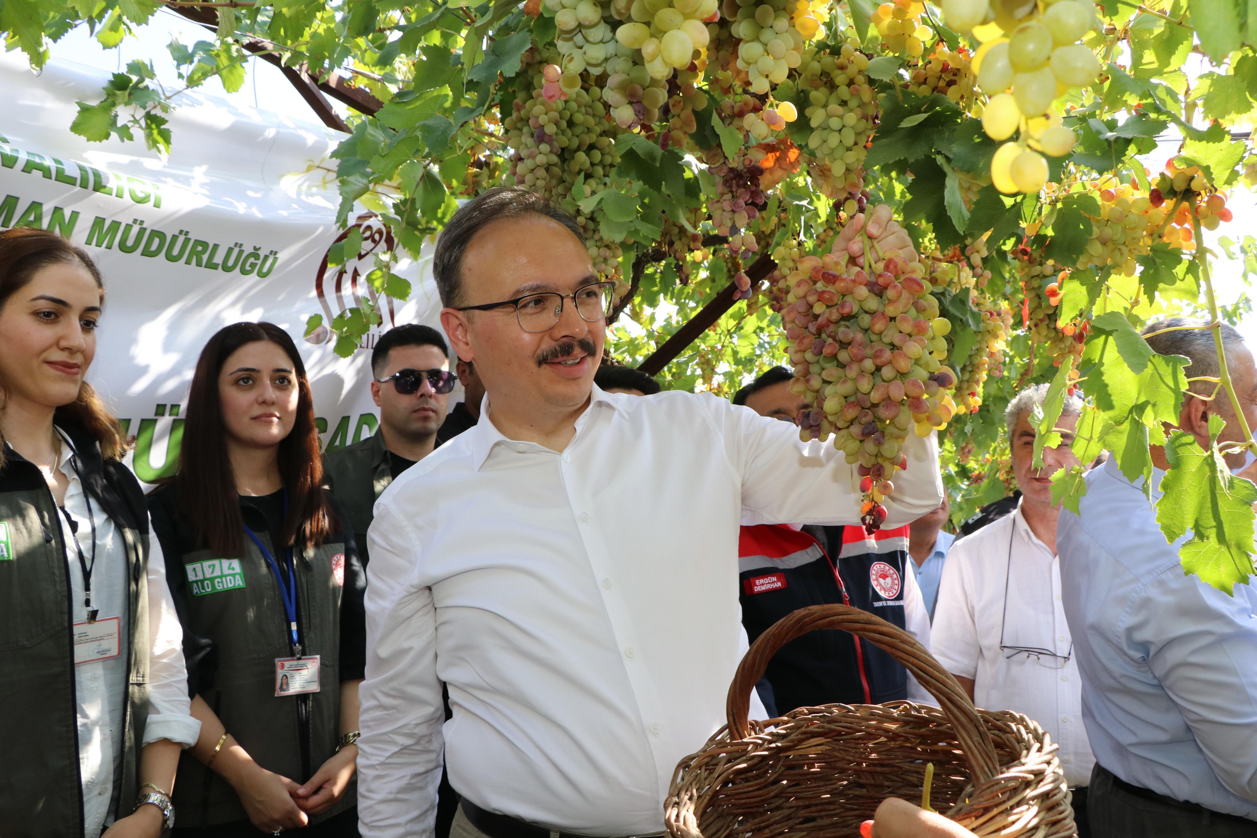 Siirt, üzüm üretiminde ilk 20'ye girmeyi hedefliyor