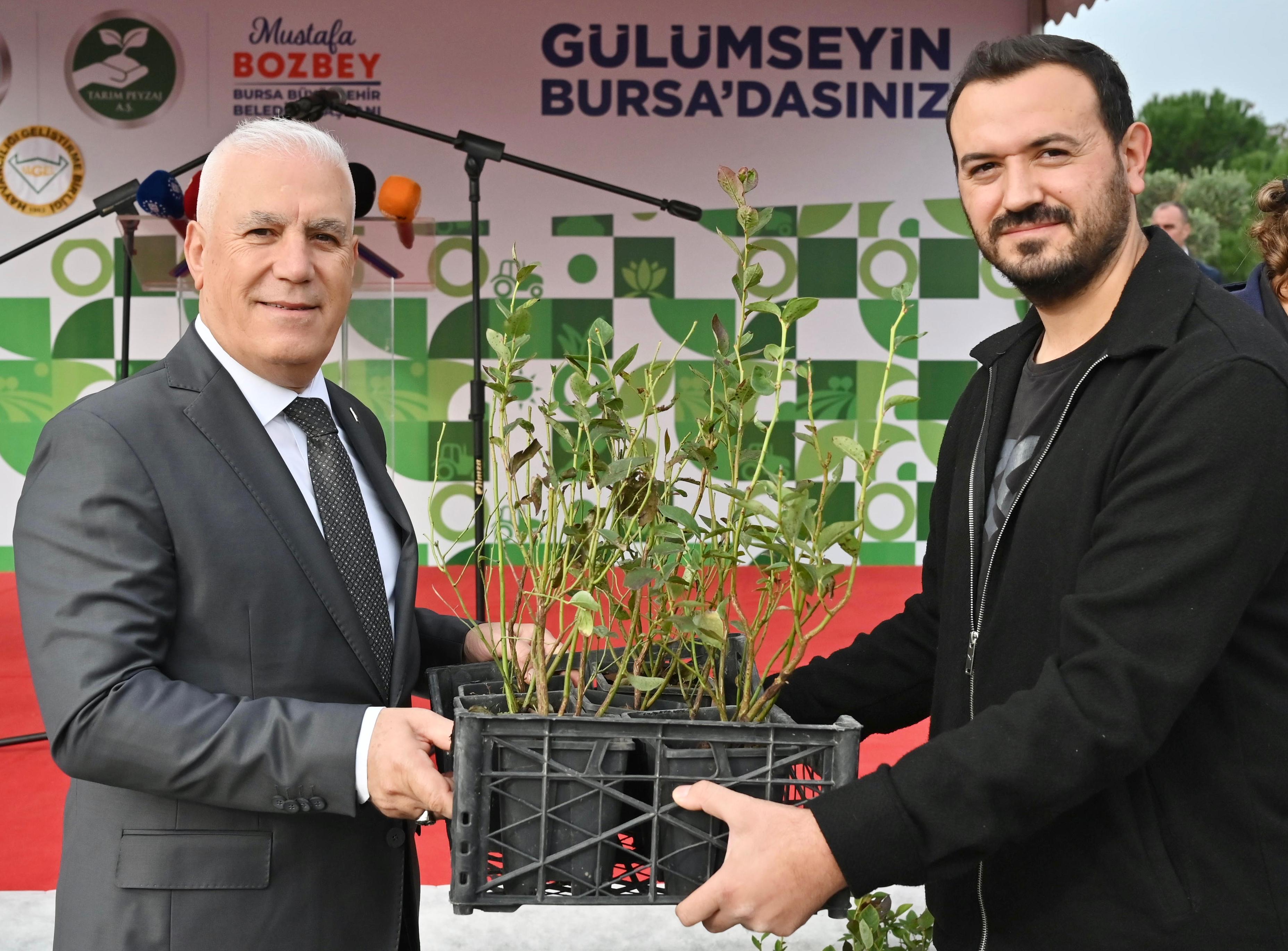 Bursa'da çiftçilere 20 bin aronya ve yaban mersini fidanı dağıtıldı