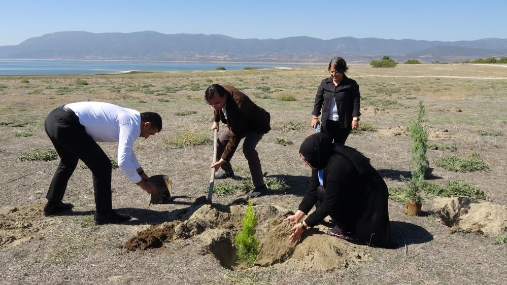 Burdurlu gazeteciler kuraklıkla boğuşan Burdur Gölü'ne fidan dikerek dikkati çekti
