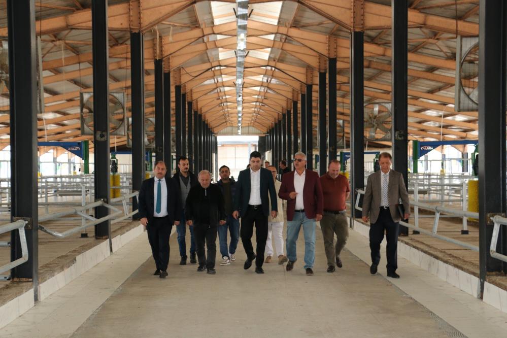 Erzincan’a 1500 başlık besi çiftliği yapılıyor