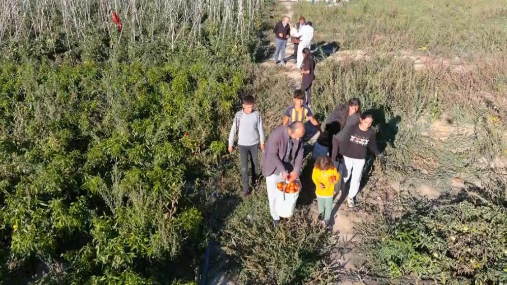 "Tarladan vatandaşa" sebze satışında çiftçi de tüketici de mutlu