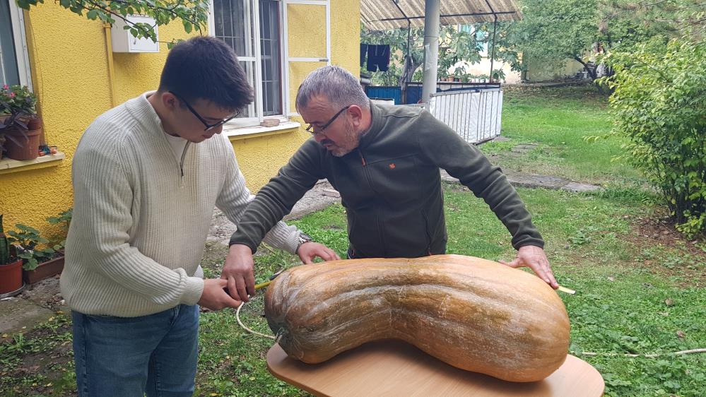 40 kilogram ve 110 santimetrelik kabak üretti