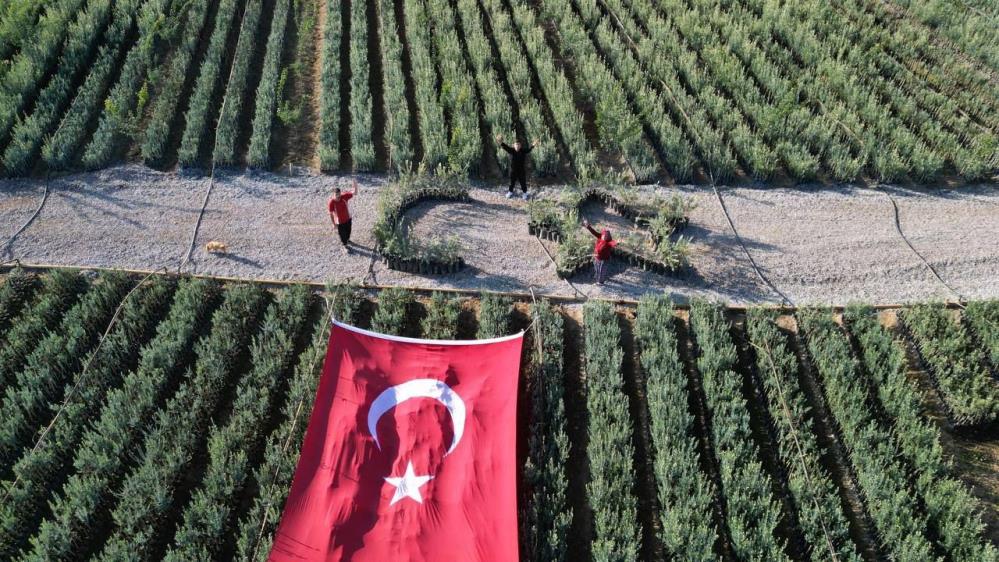 Zeytin fidanlarıyla "ay ve yıldız" oluşturdu