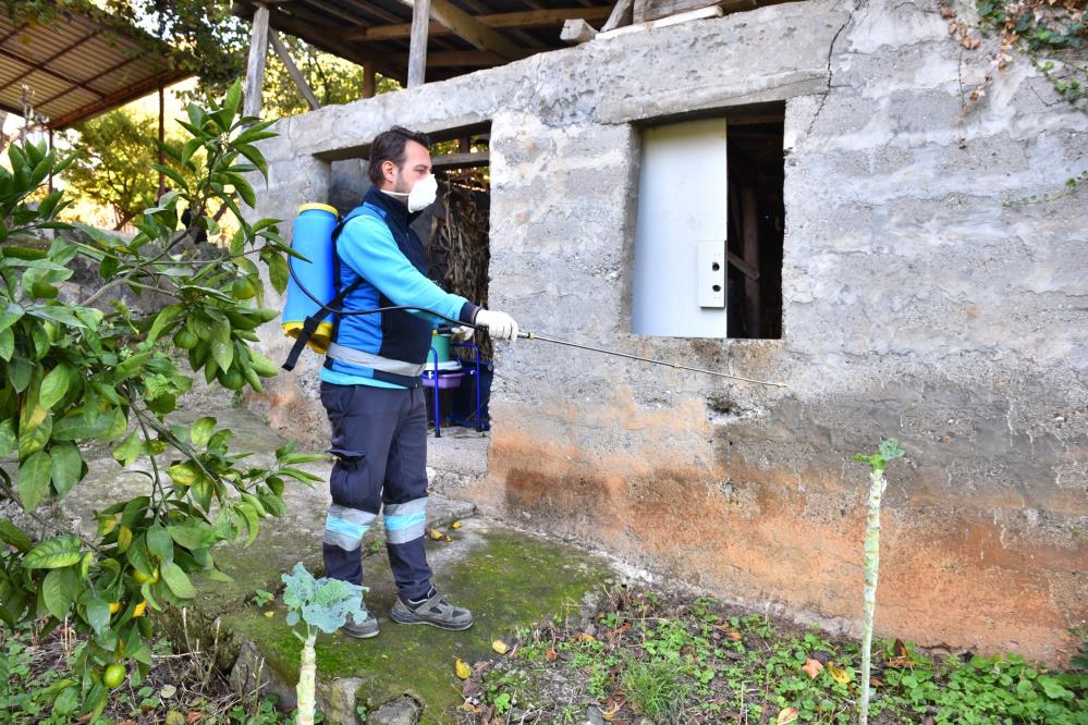 Trabzon'da kahverengi kokarcaya karşı 2 bin 60 noktada ilaçlama yapıldı