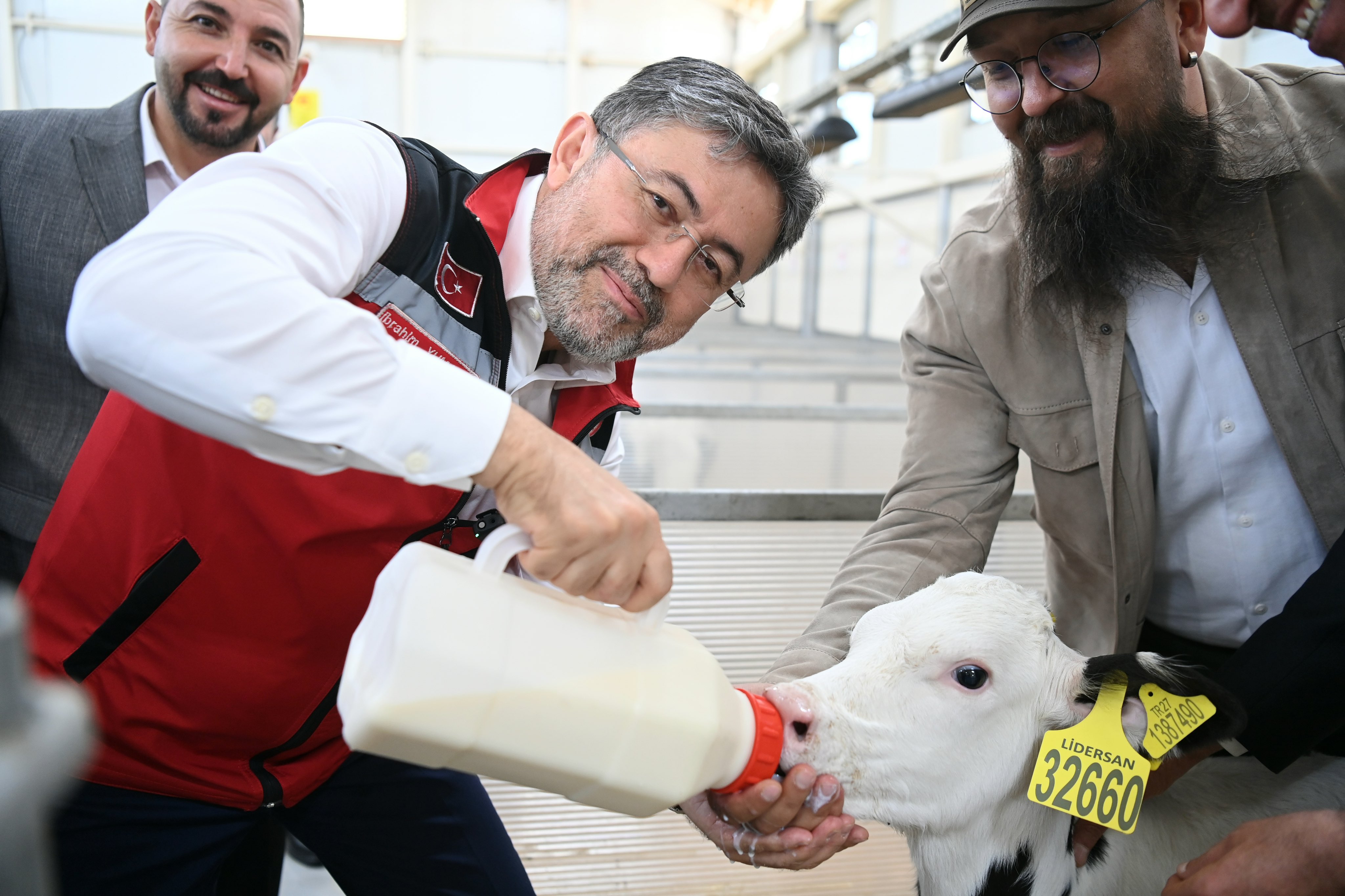 Hayvancılıkta ana hedef: Anaç hayvan sayısını artırmak