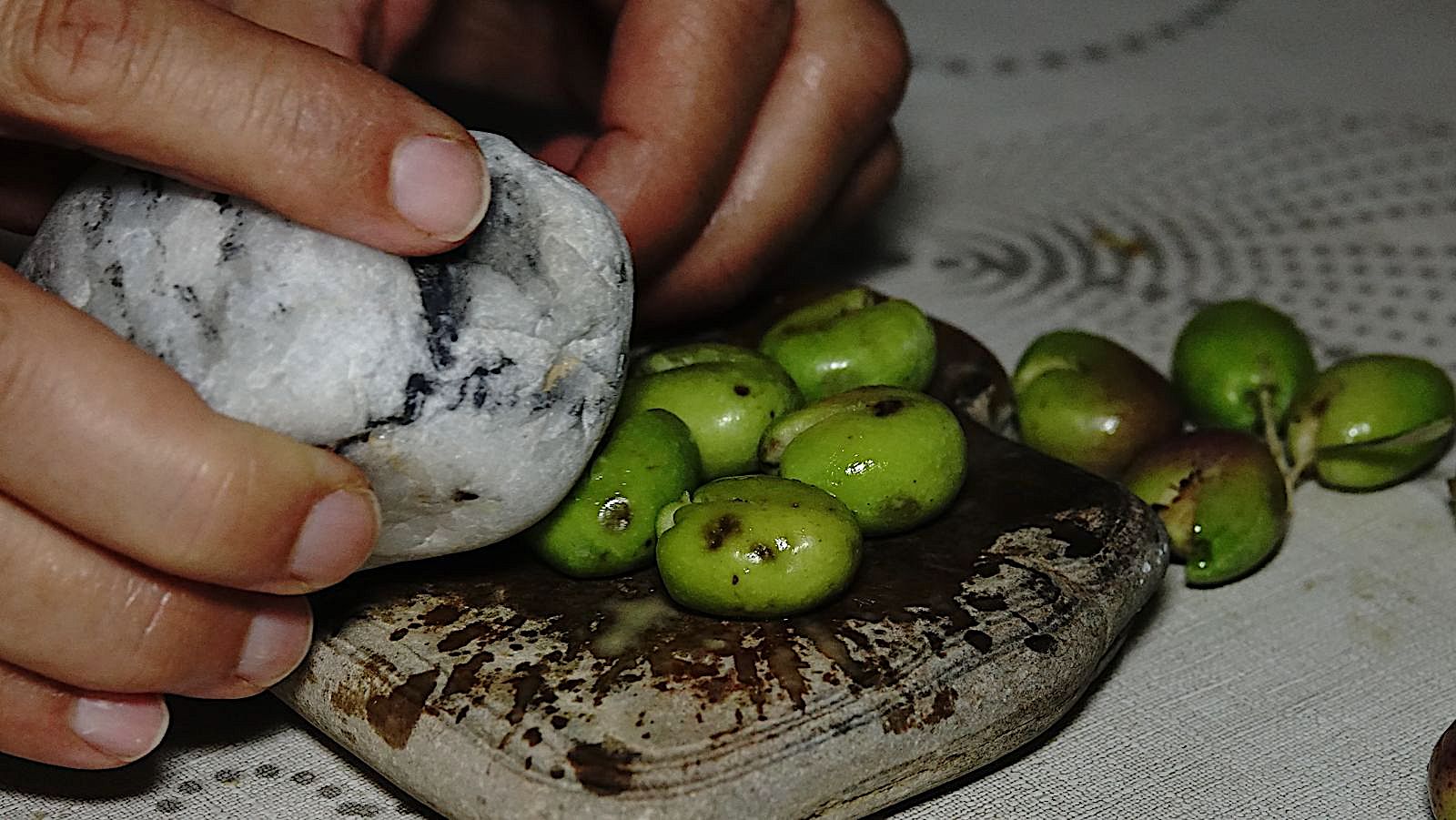 Kırma zeytin nasıl yapılmalı Oleolog Dr Mücahit Kıvrak anlattı