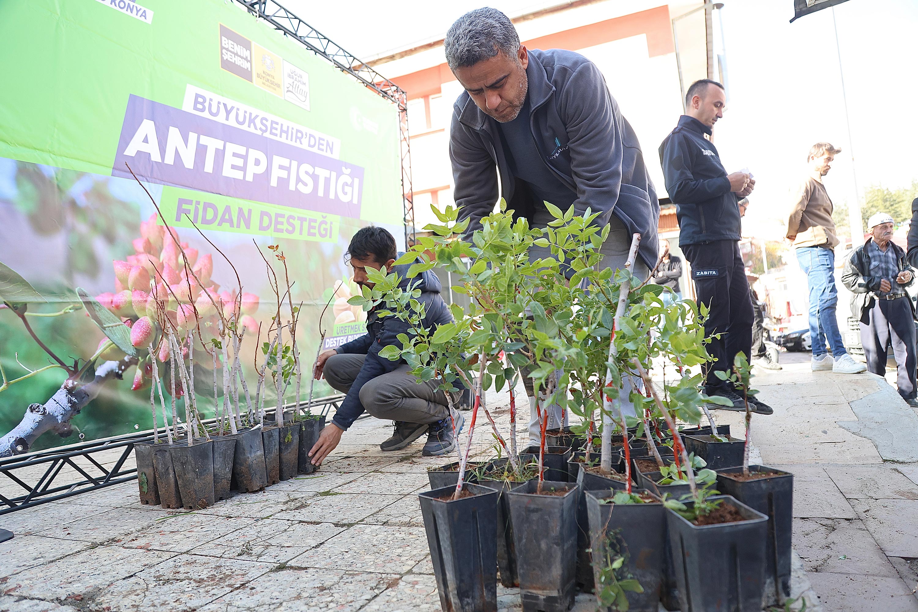 Konya Büyükşehir, Toroslar'da Antep fıstığını yaygınlaştırıyor