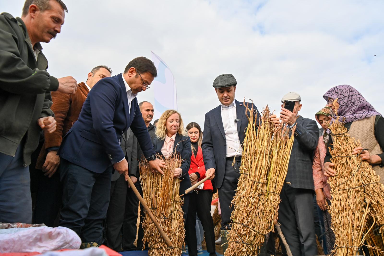 Balıkesir'de çiftçinin susamını Büyükşehir 120 liradan alıyor