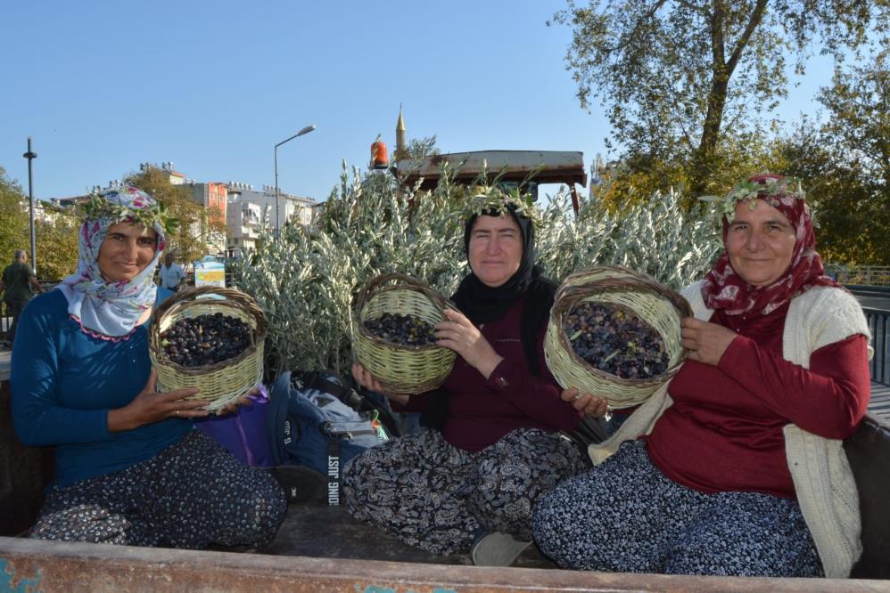 Manavgat zeytinlerini ve kaliteli zeytinyağlarını festivalle tanıtıyor