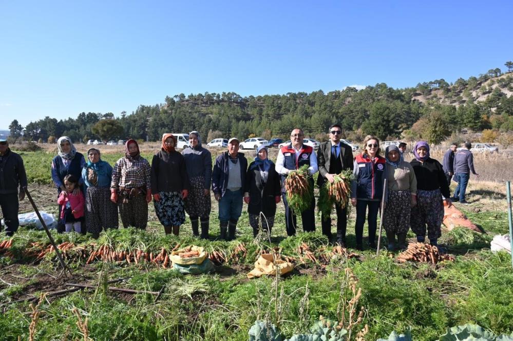 Çakır havucunda hasat başladı