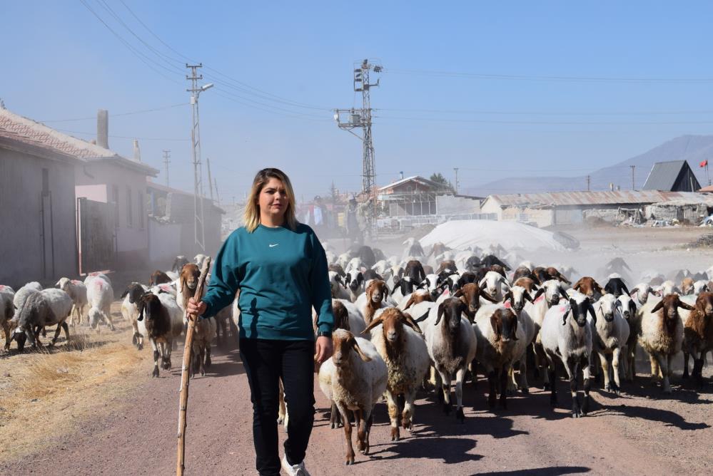 "Karaman'ın koyunu" ile sürü sahibi oldu