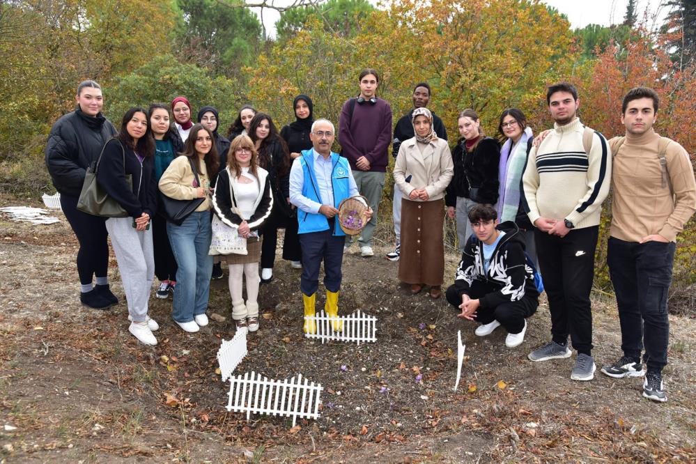 Balıkesir Üniversitesinde "mor altın" hasadı yapıldı