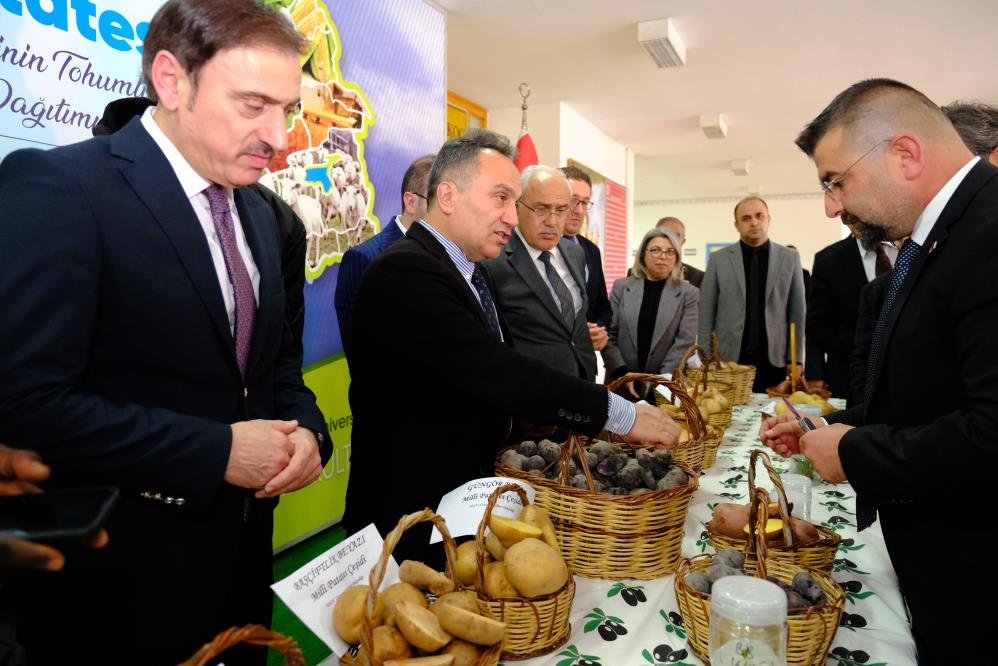 Tokat'ta 20 ton "milli patates" tohumu dağıtıldı
