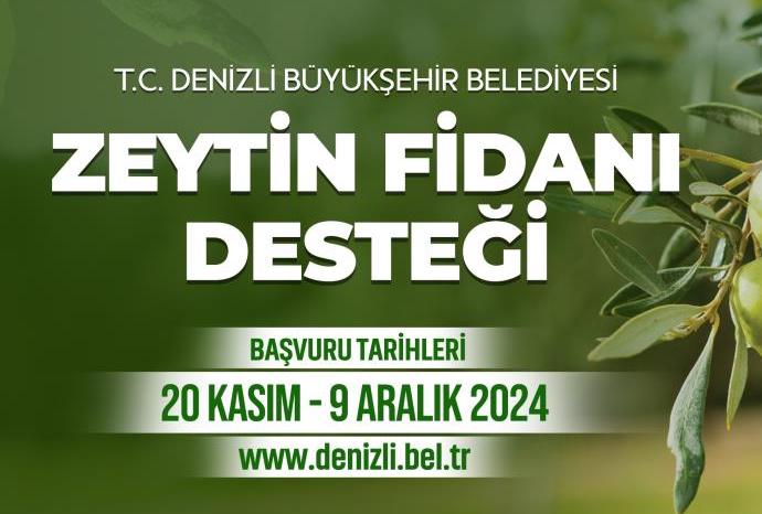 Denizli'de 50 bin zeytin fidanı dağıtılacak