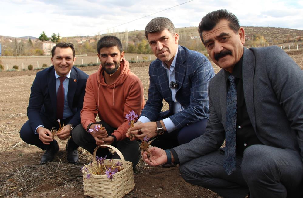 "Etçi Nusret"e yılda 4,5 kilo safran satıyor