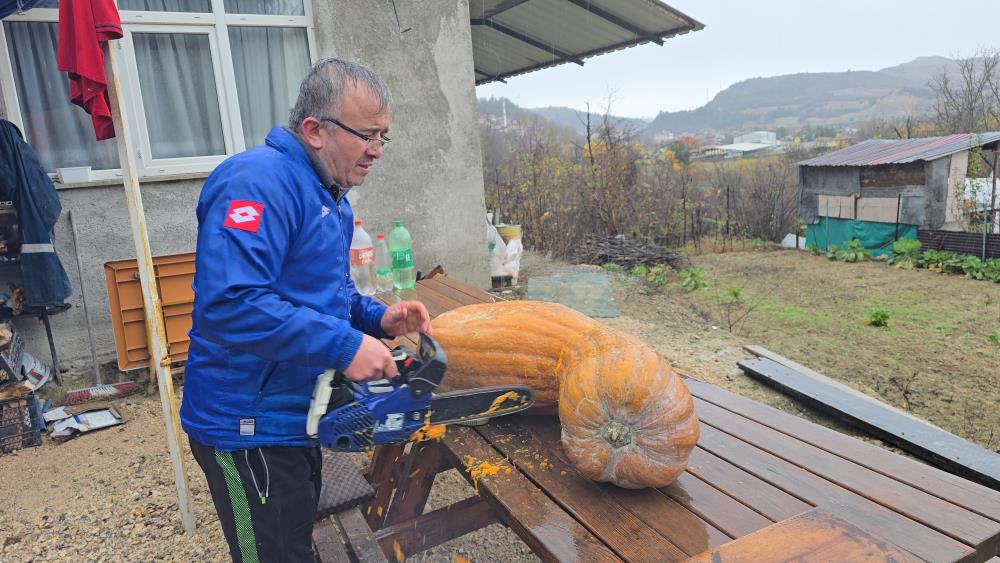 40 kiloluk kabağı elektrikli testereyle parçaladı