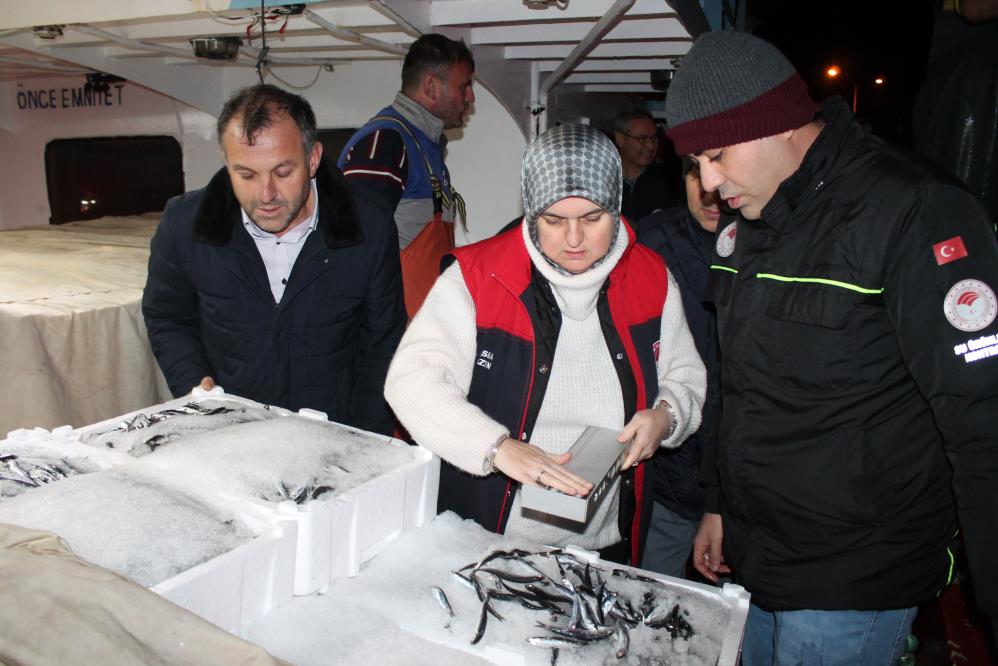 Düzce Akçakoca'dan 14 günde 1120 ton hamsi çıkışı oldu