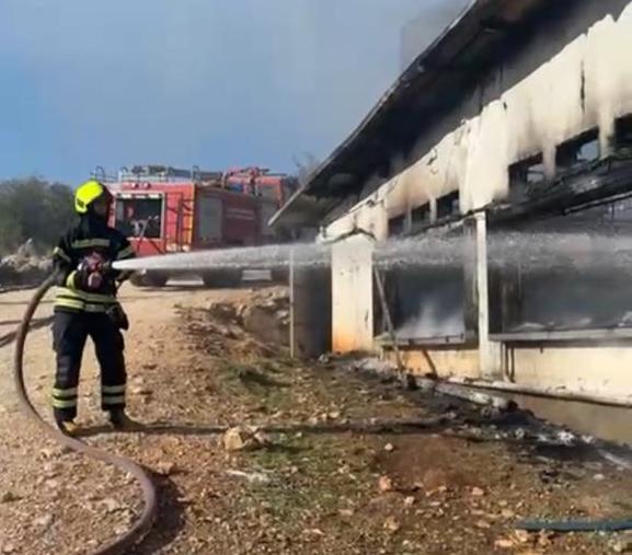 Mersin'deki yangında 33 bin civciv telef oldu
