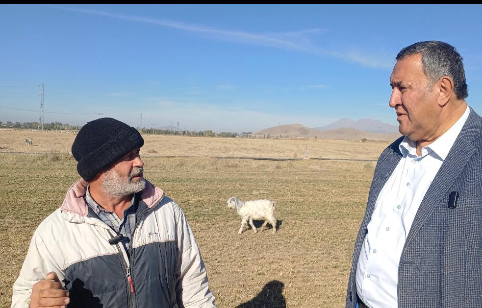 Küçükbaş hayvan yetiştiricisi, milletvekiline dert yandı