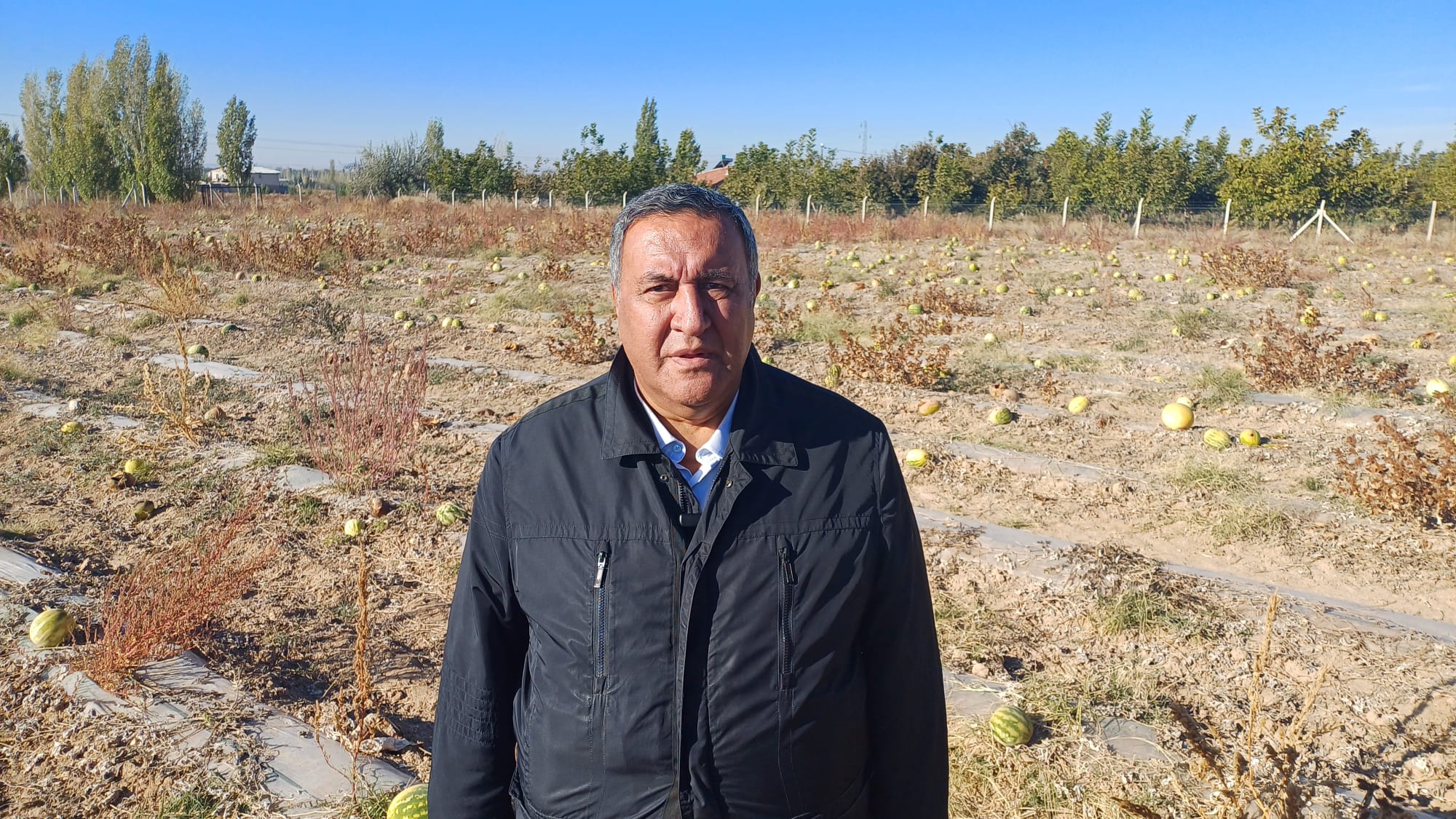 CHP'li Gürer: "Dilimle tüketici alamıyordu, üretici tarlada bıraktı"