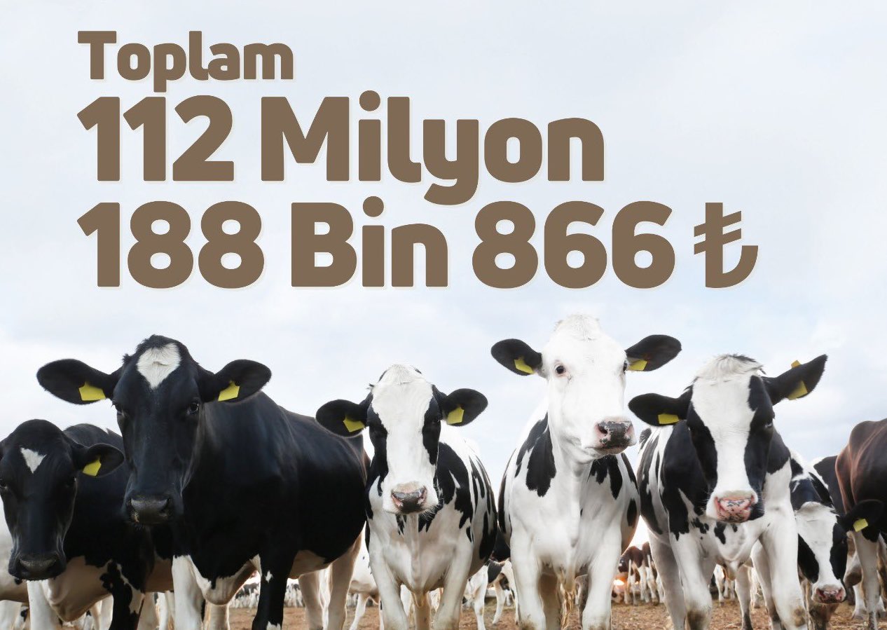Buzağı ve kırsal kalkınma destekleri çiftçilerin hesaplarına aktarıldı