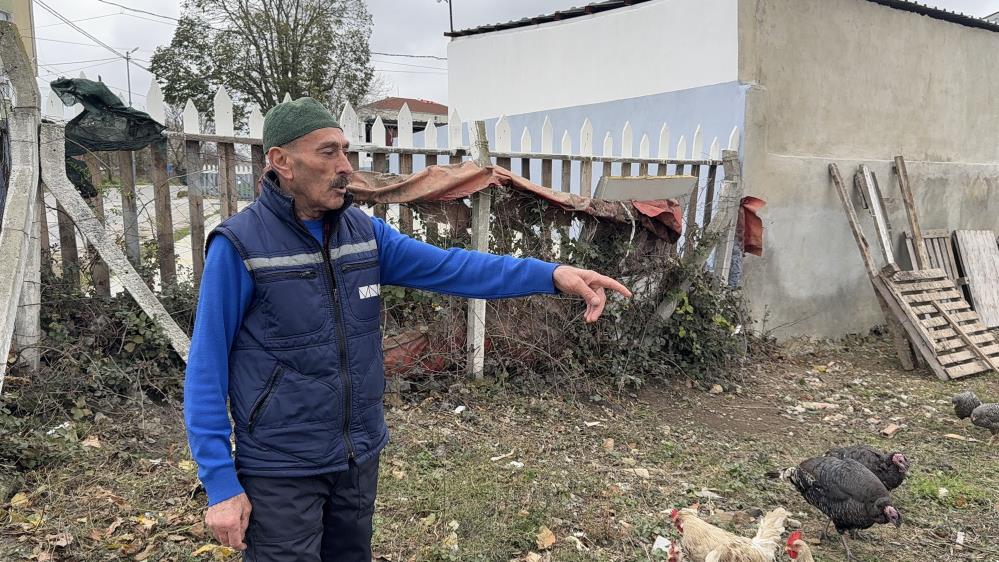 Yılbaşı yaklaşırken hindi hırsızlıkları başladı