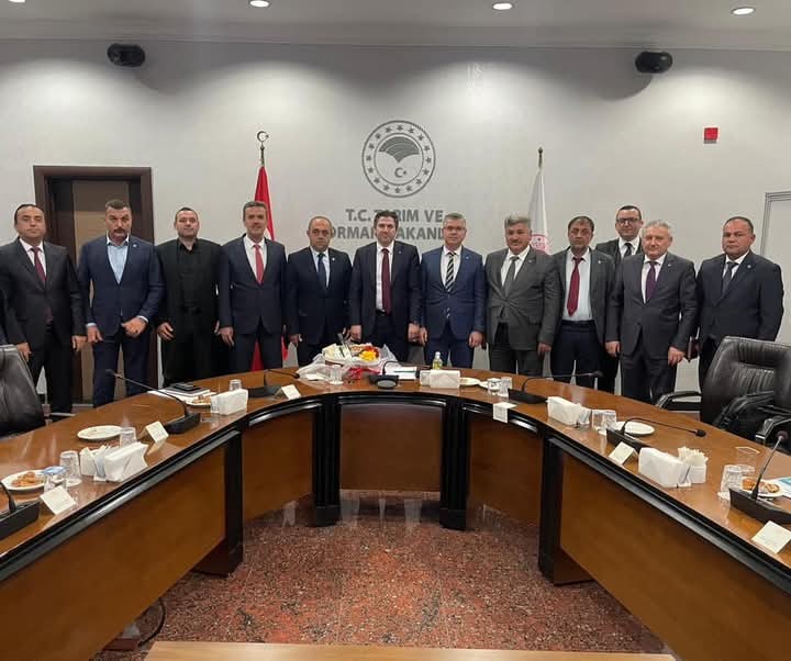 Bursa ve Balıkesir'in ziraat odaları zeytindeki sorunları Tarım Bakanlığına iletti