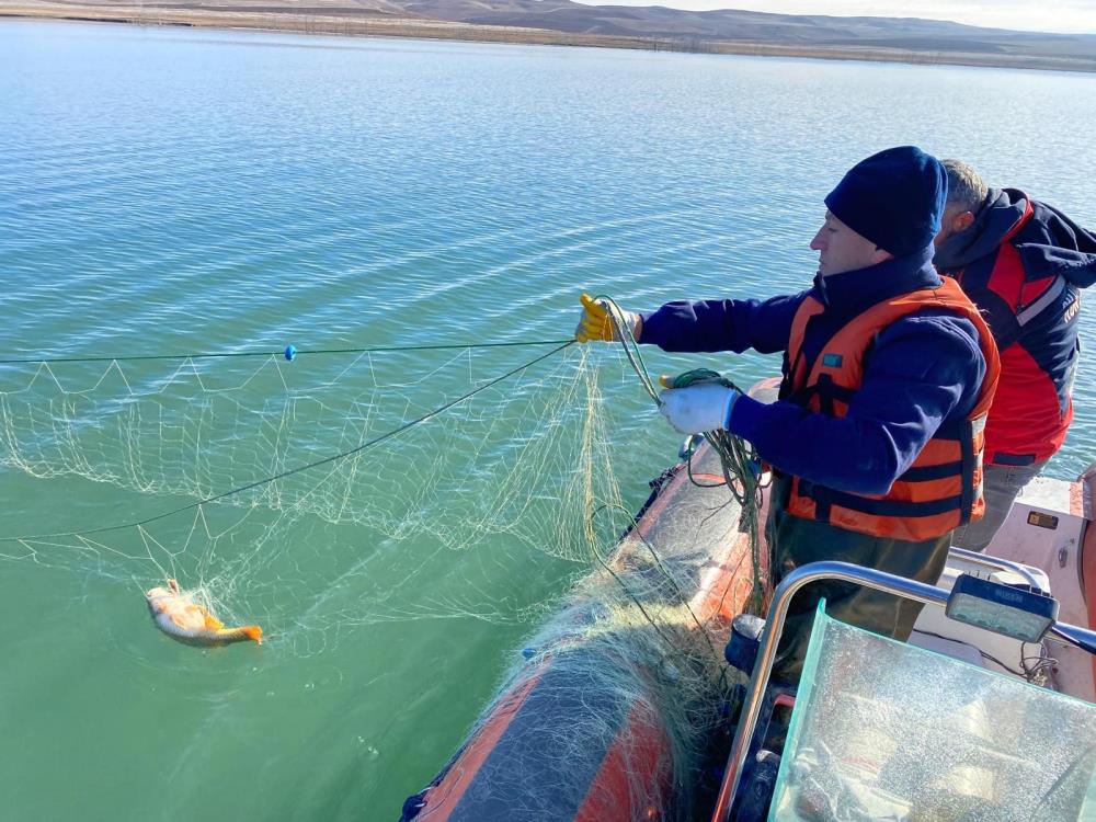 Koçhisar Barajı&#039;nda hayalet ağa takılan balıklar suya bırakıldı