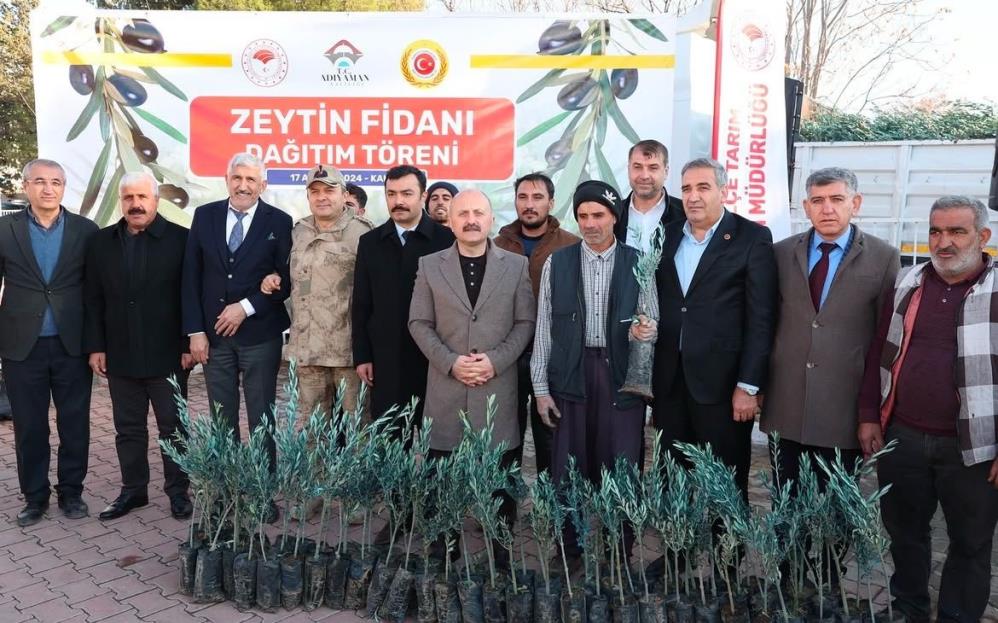 Kahta'da 70 bin zeytin fidanı dağıtıldı