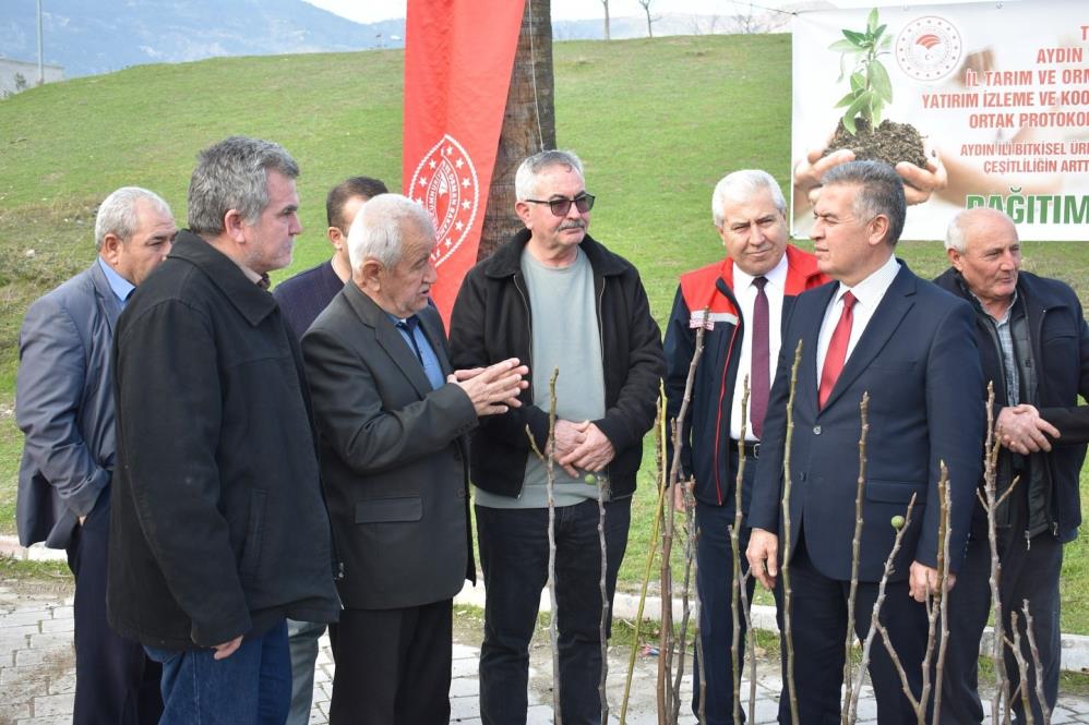 Buharkent'te ilek bahçesi kuruluyor
